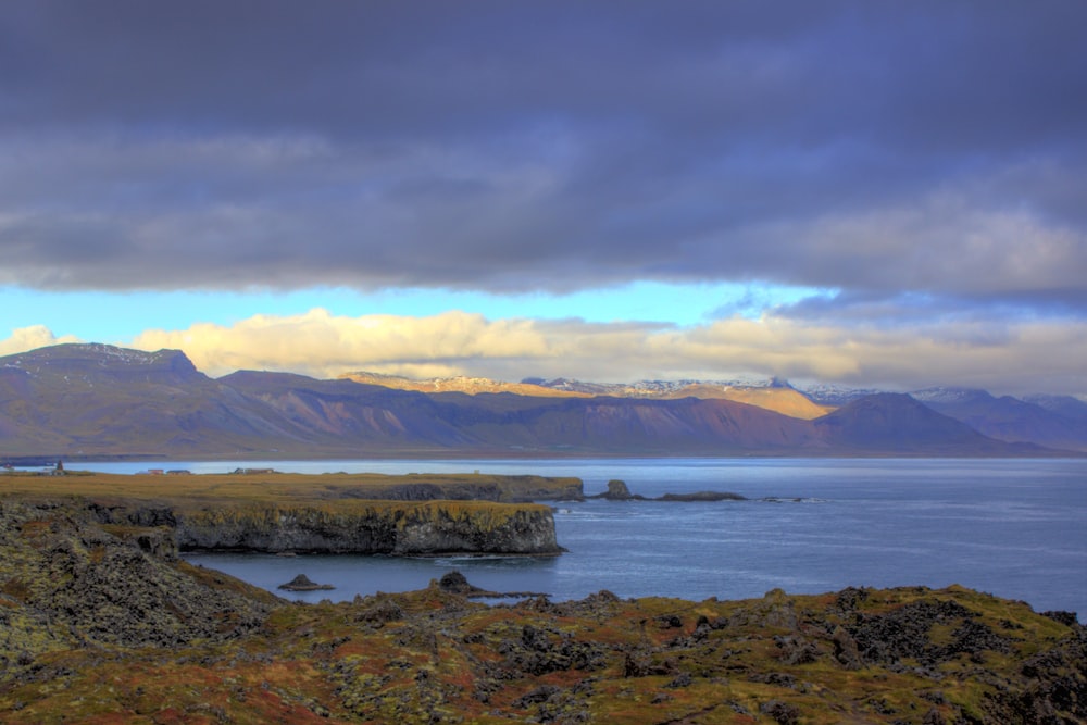 green land beside a body of water