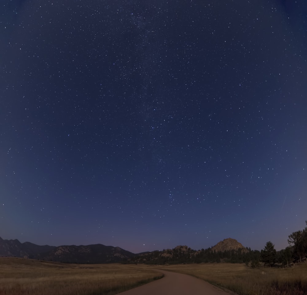 brown pathway under starry night