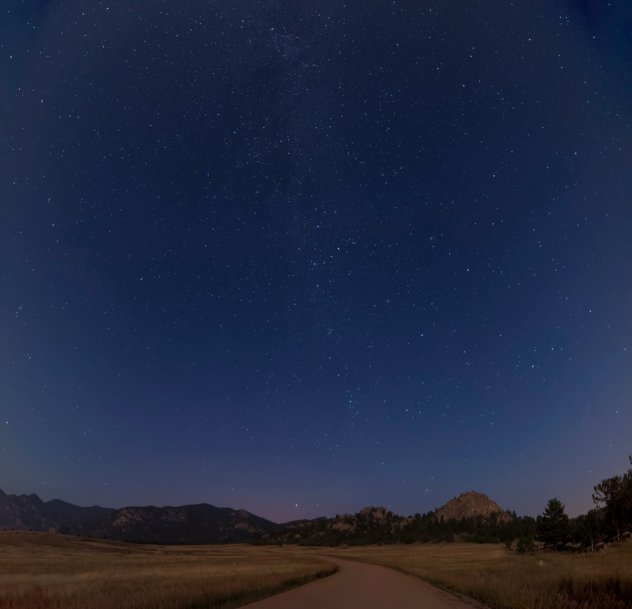 brown pathway under starry night