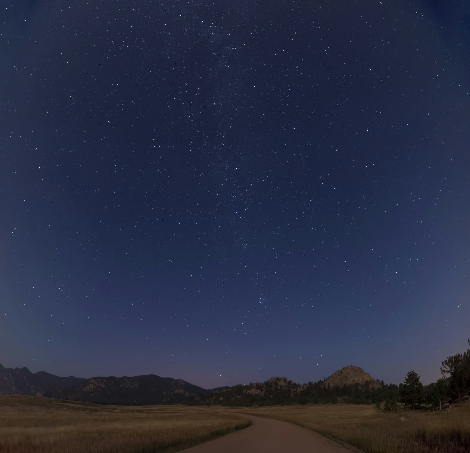 Samyang 14mm F2.8 ED AS IF UMC sample photo. Brown pathway under starry photography