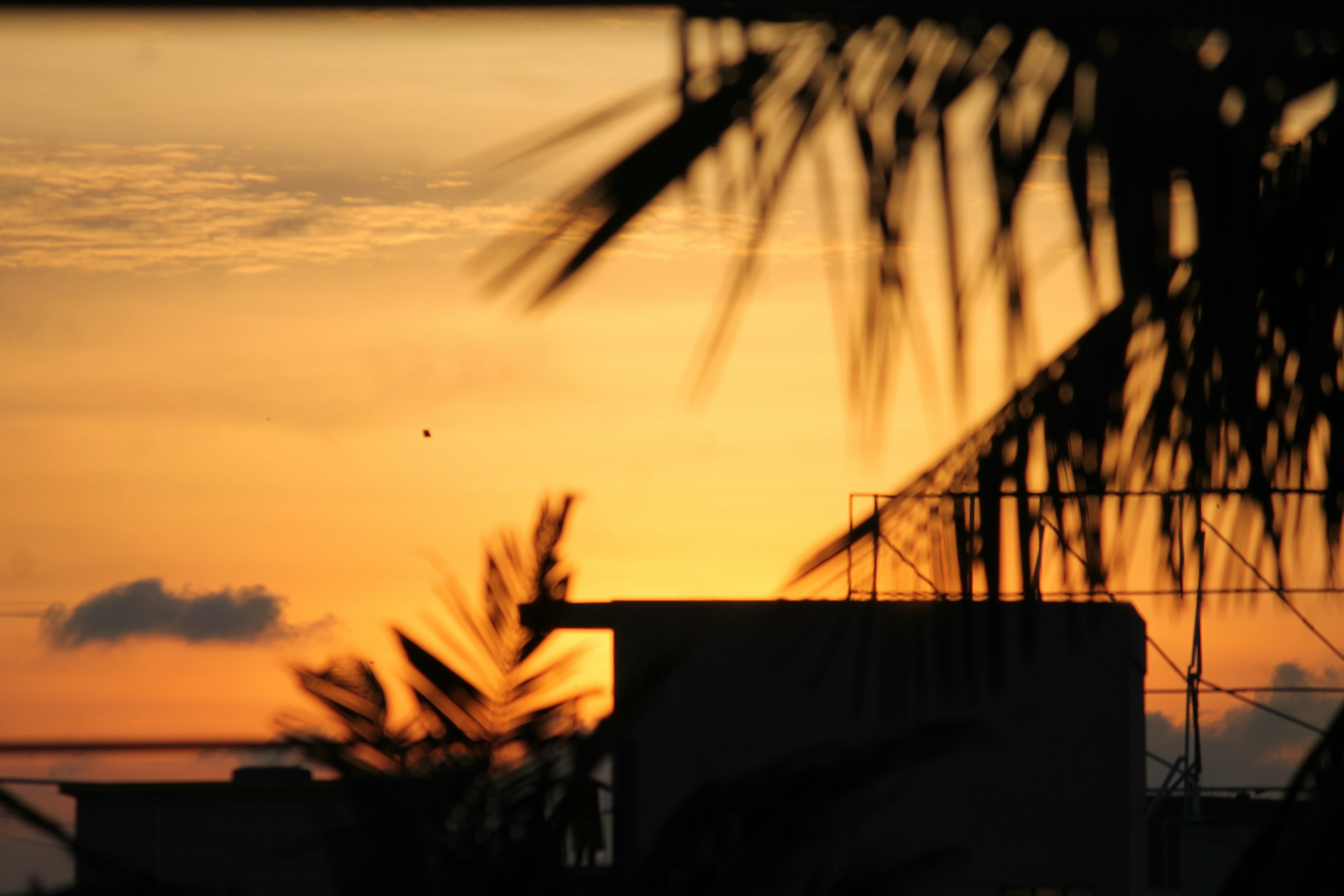 Free Unsplash photo from Indrajit Dutta