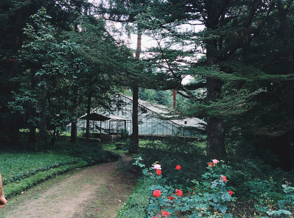 pathway between garden