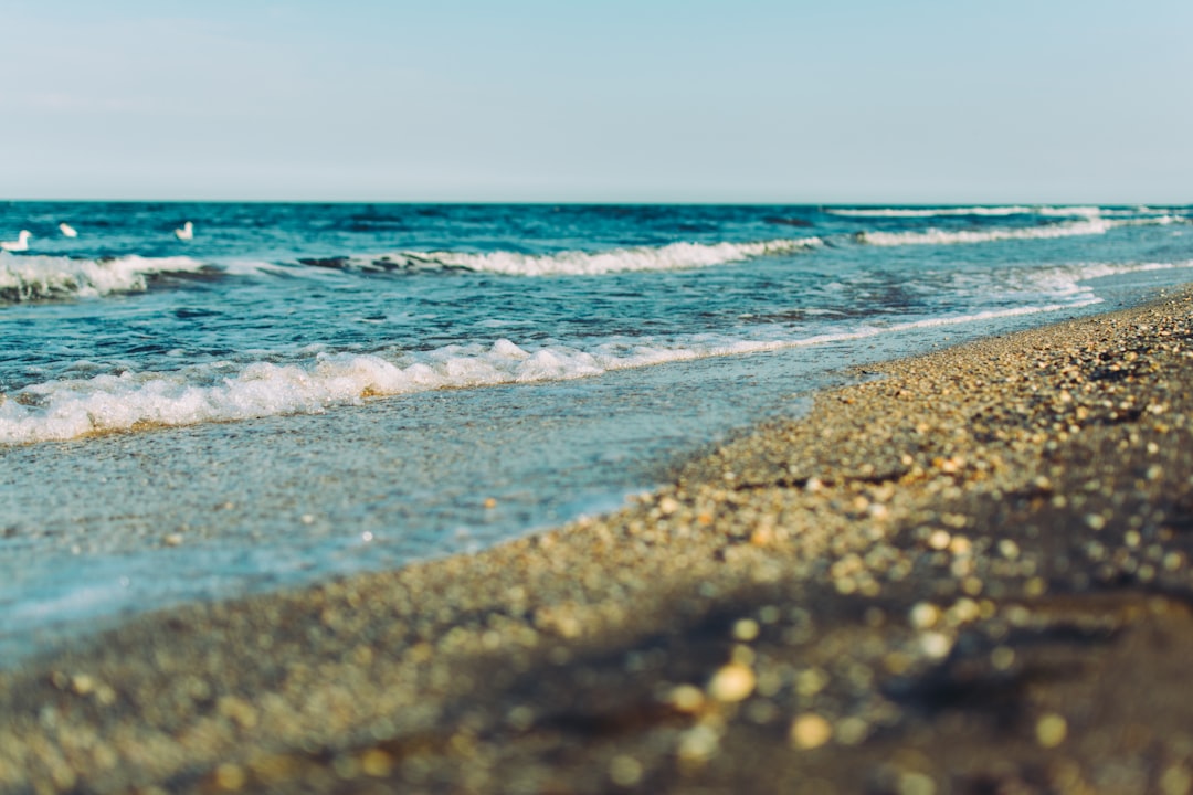 selective focus photography of seashore