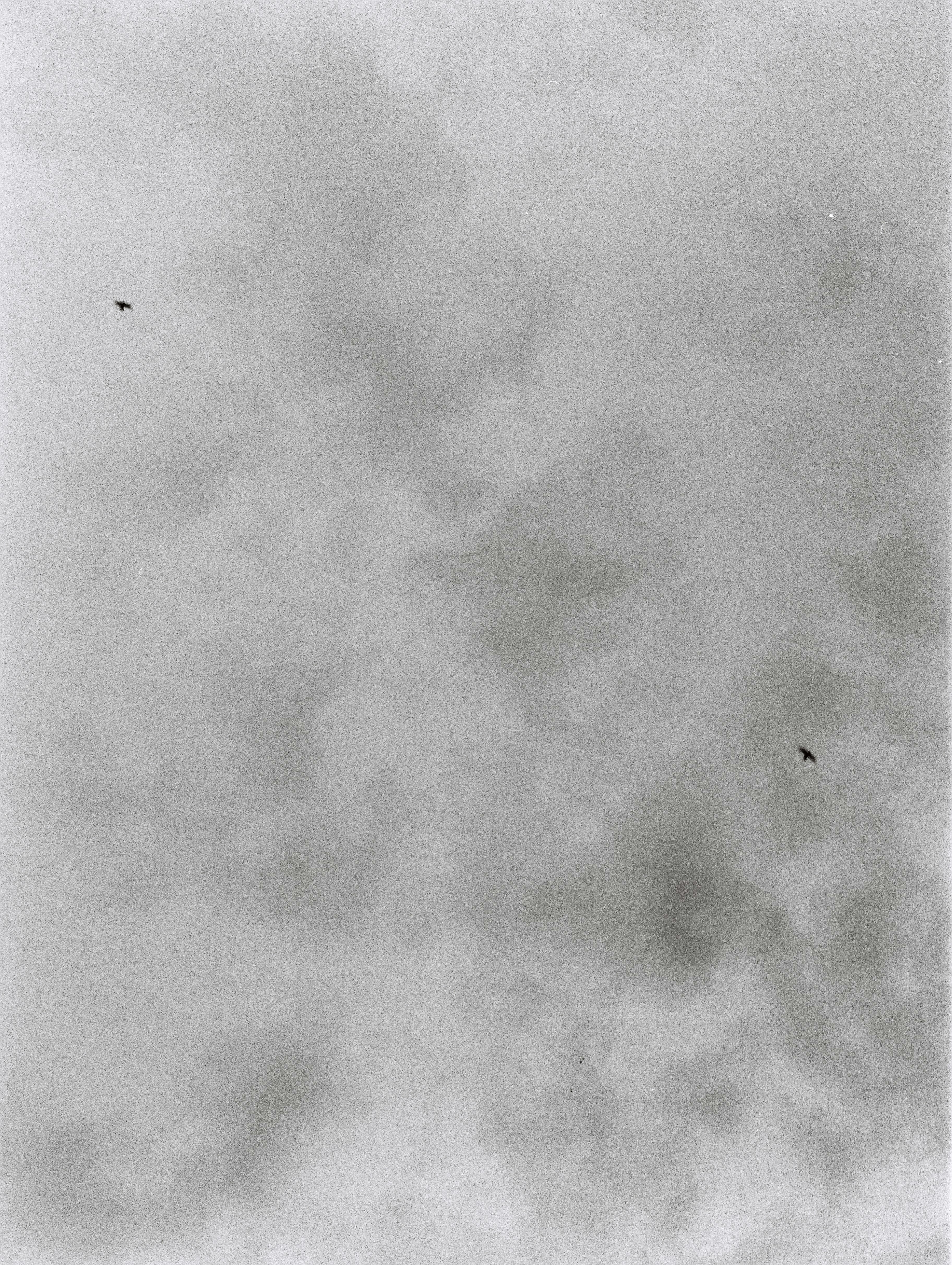 Free Unsplash photo from Nguyễn Dũng