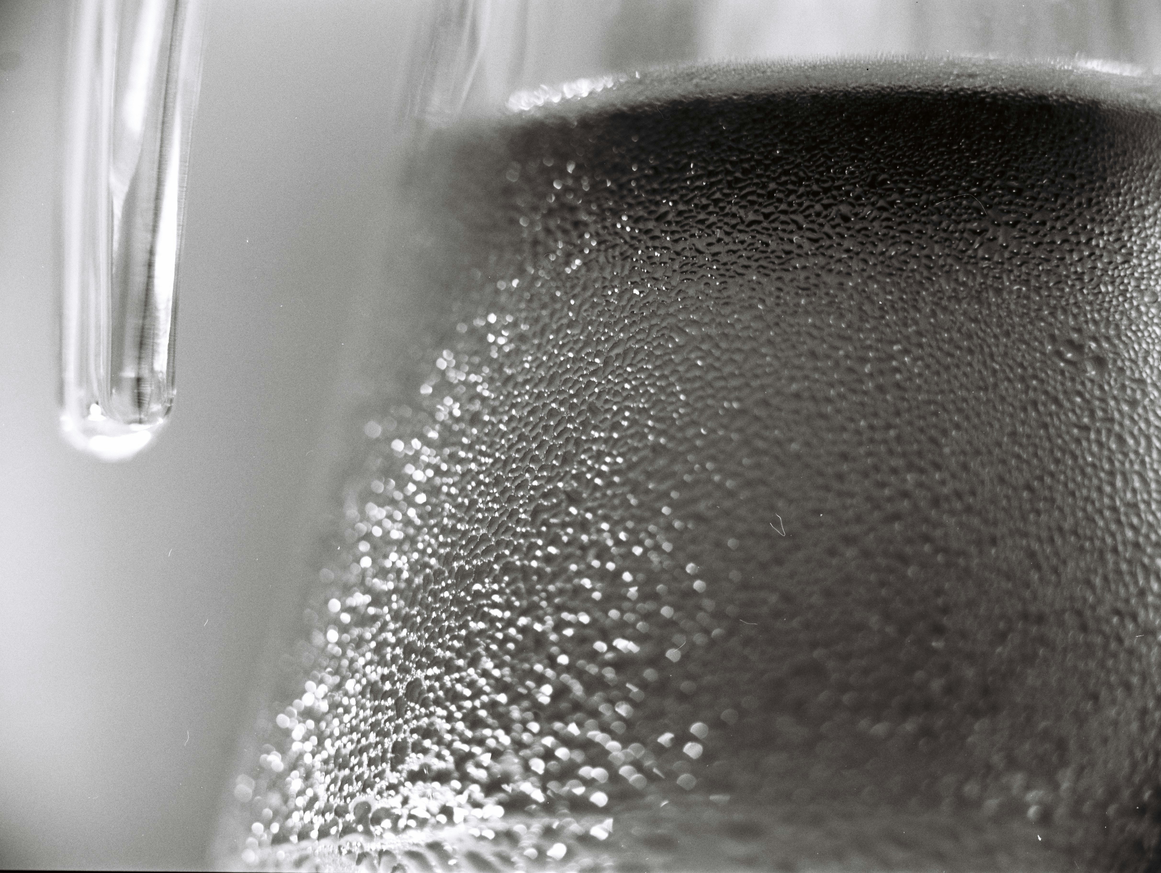 Free Unsplash photo from Nguyễn Dũng