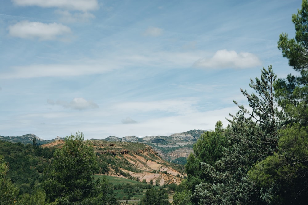 photo of mountains and forest