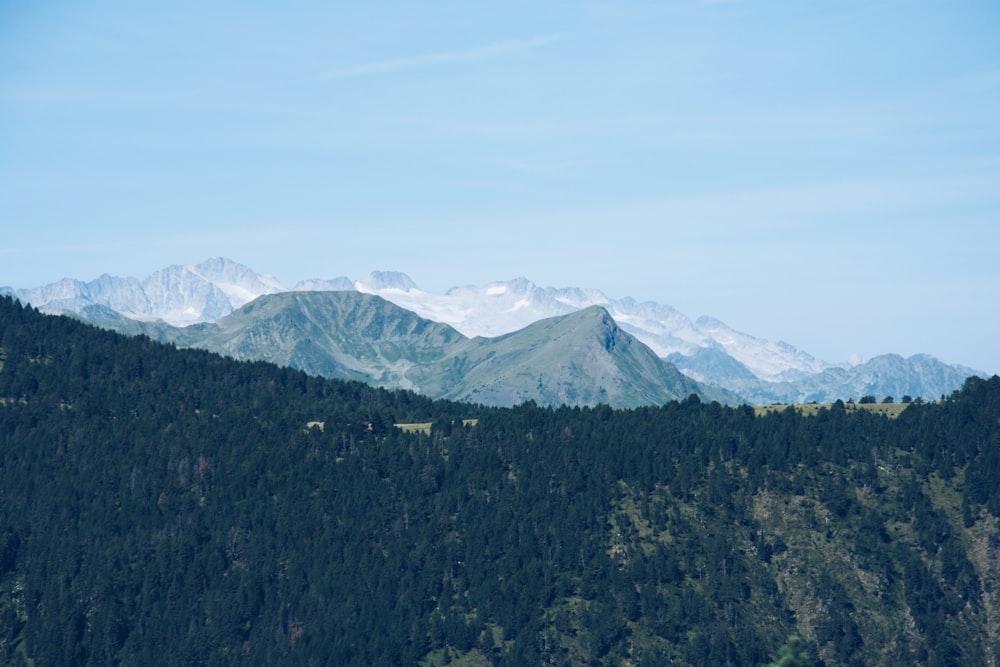 photographie aérienne de forêt avec fond de chaîne de montagnes