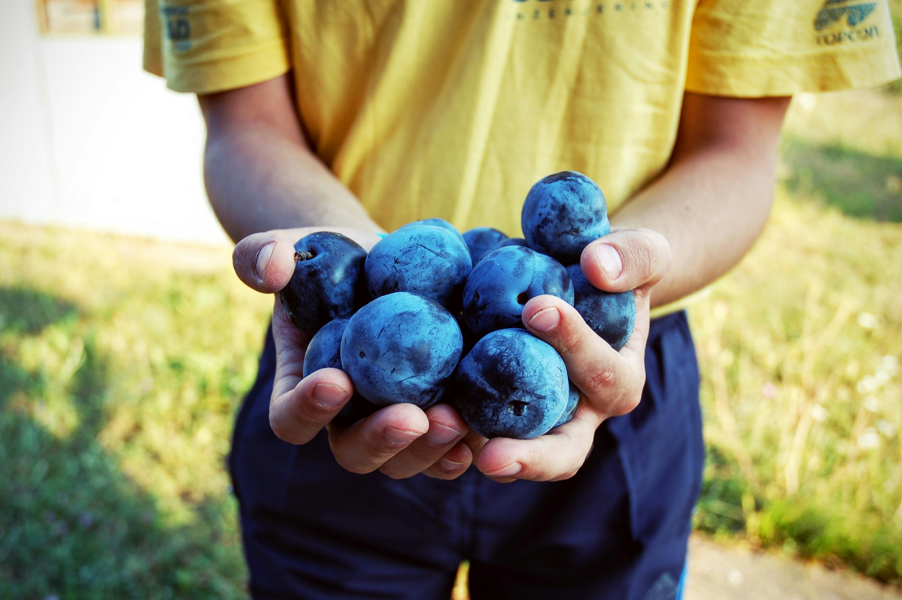 Free Unsplash photo from Marija Rahman