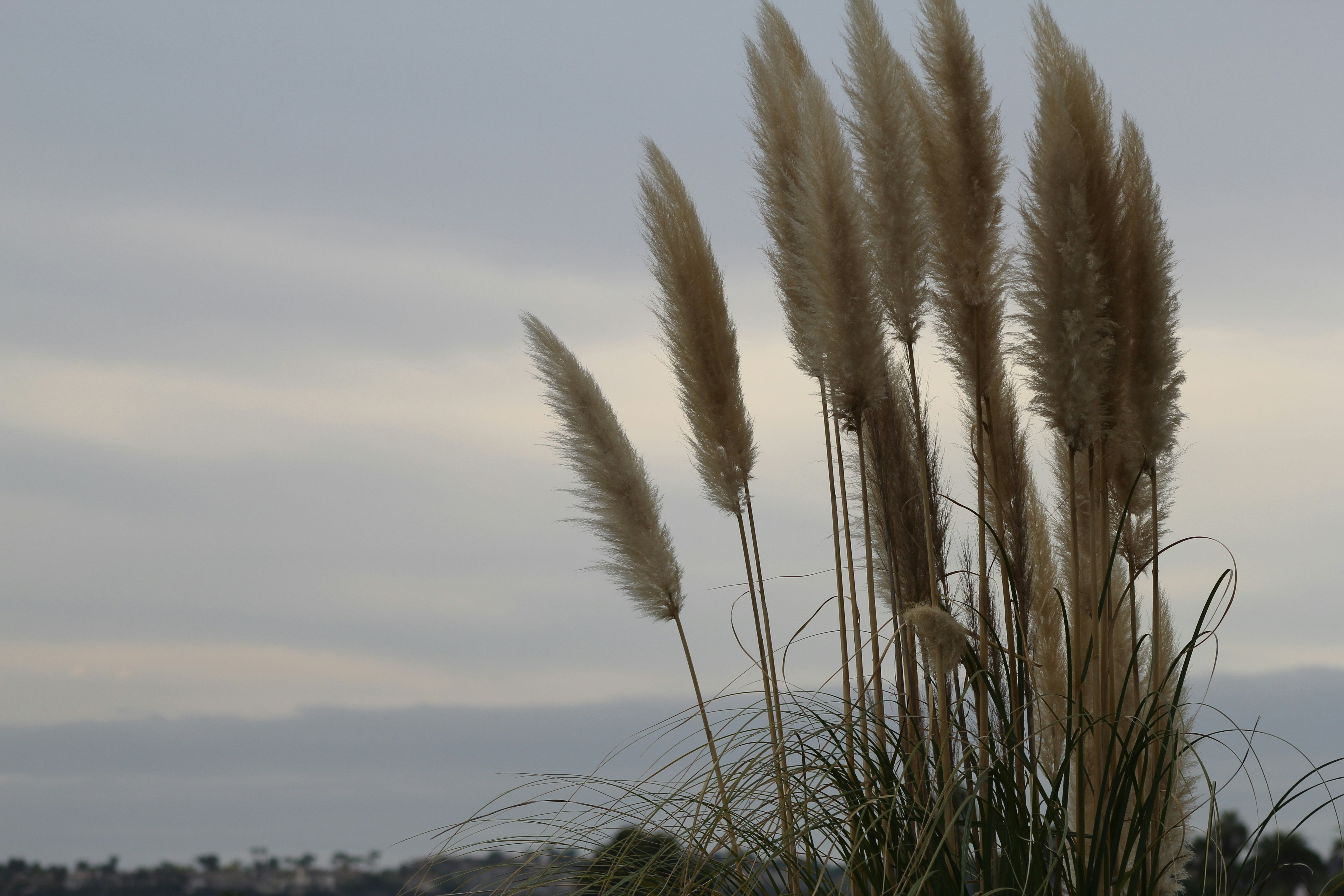 Free Unsplash photo from Mehran Babaee