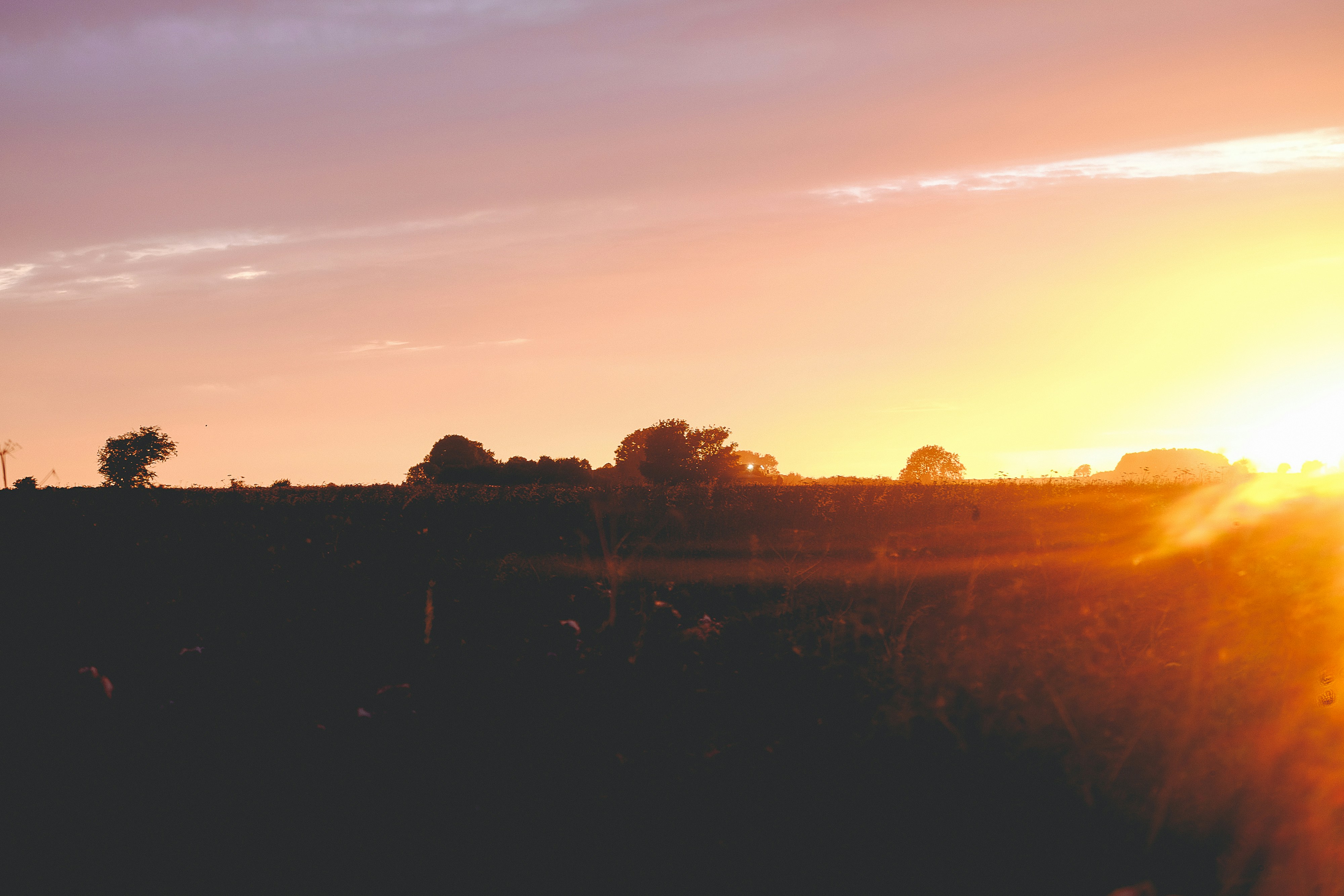 Free Unsplash photo from Annie Spratt