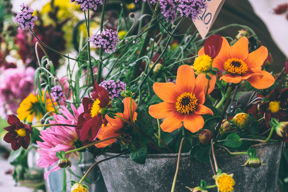 orange flowers