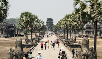 group of people touring on landscape