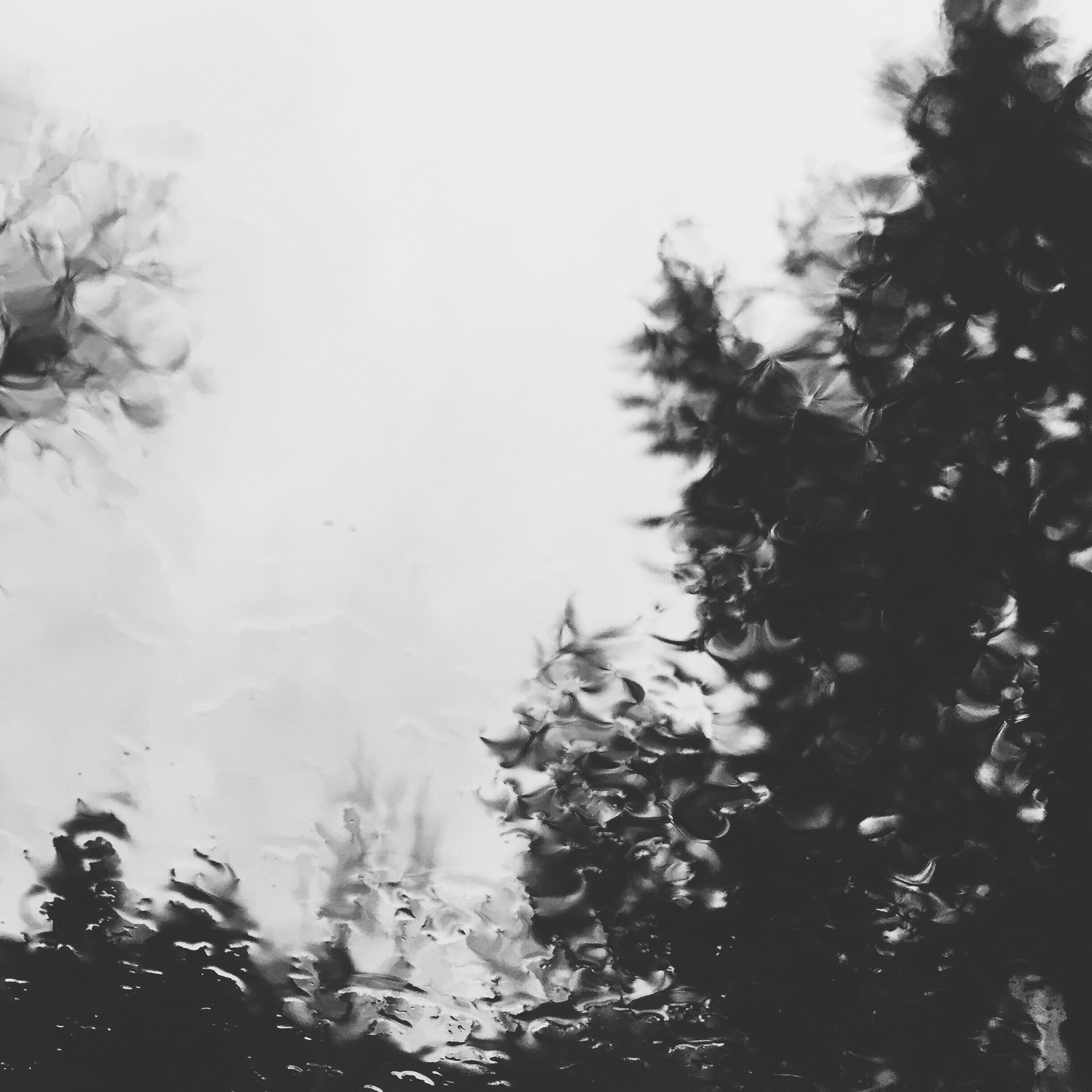 Free Unsplash photo from Bernard Esparza