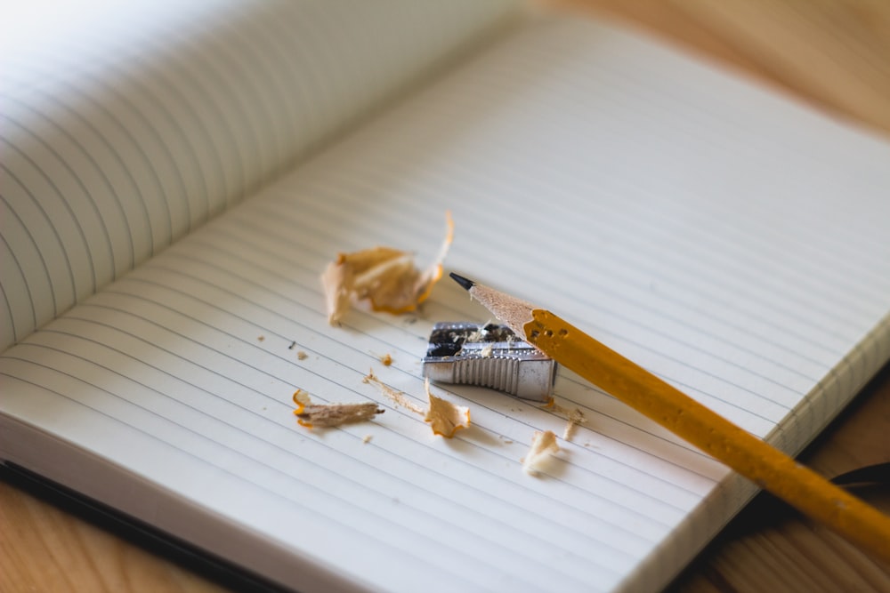 Pencil shavings around a pencil and a pencil sharpener on an open notebook