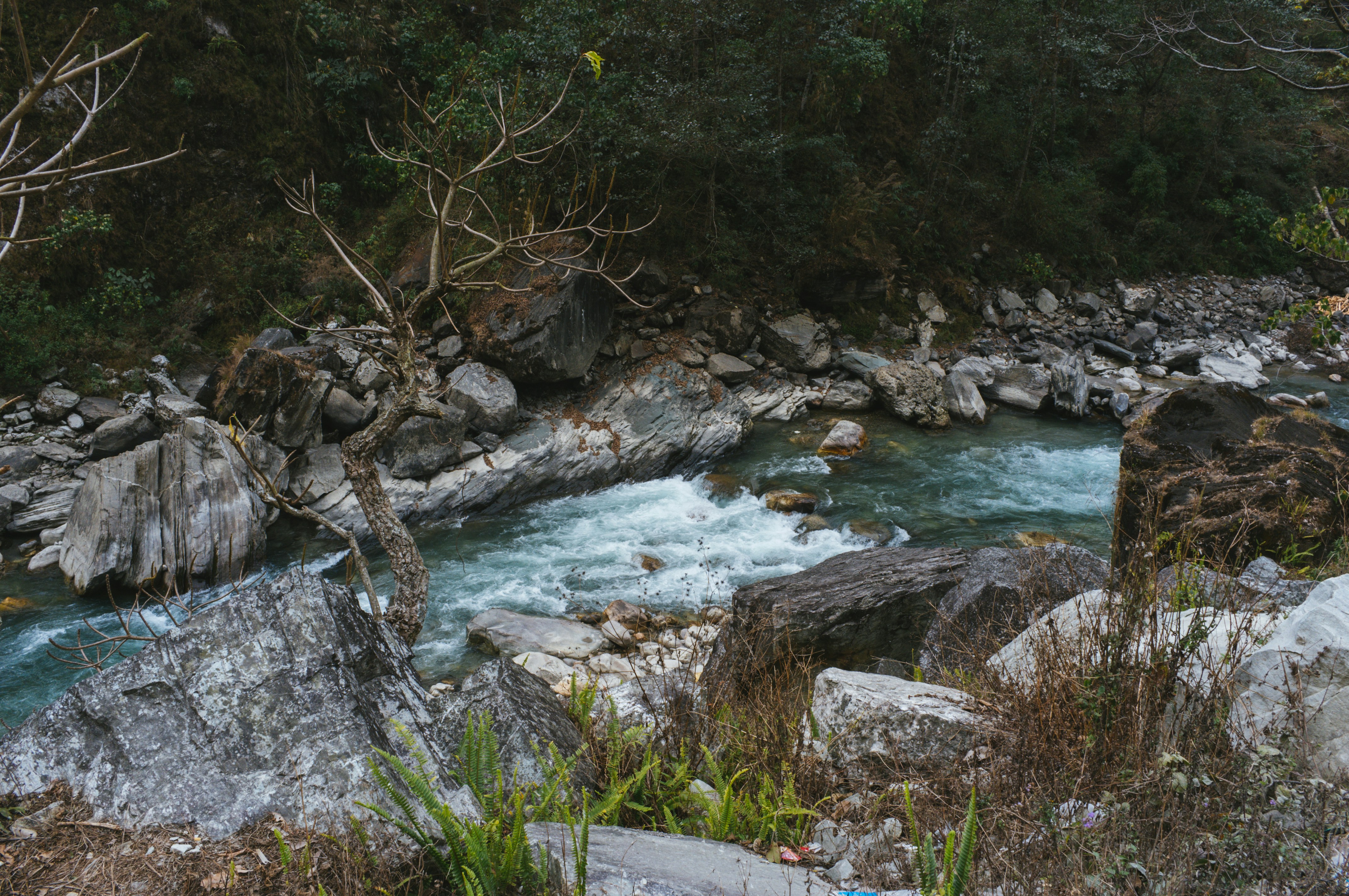 Free Unsplash photo from MARIO PUTRA