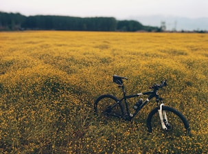 black and white hard-tail mountain bike during daytime
