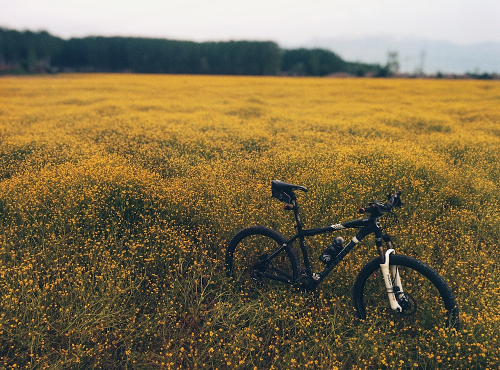 Schwarz-weißes Hardtail-Mountainbike tagsüber