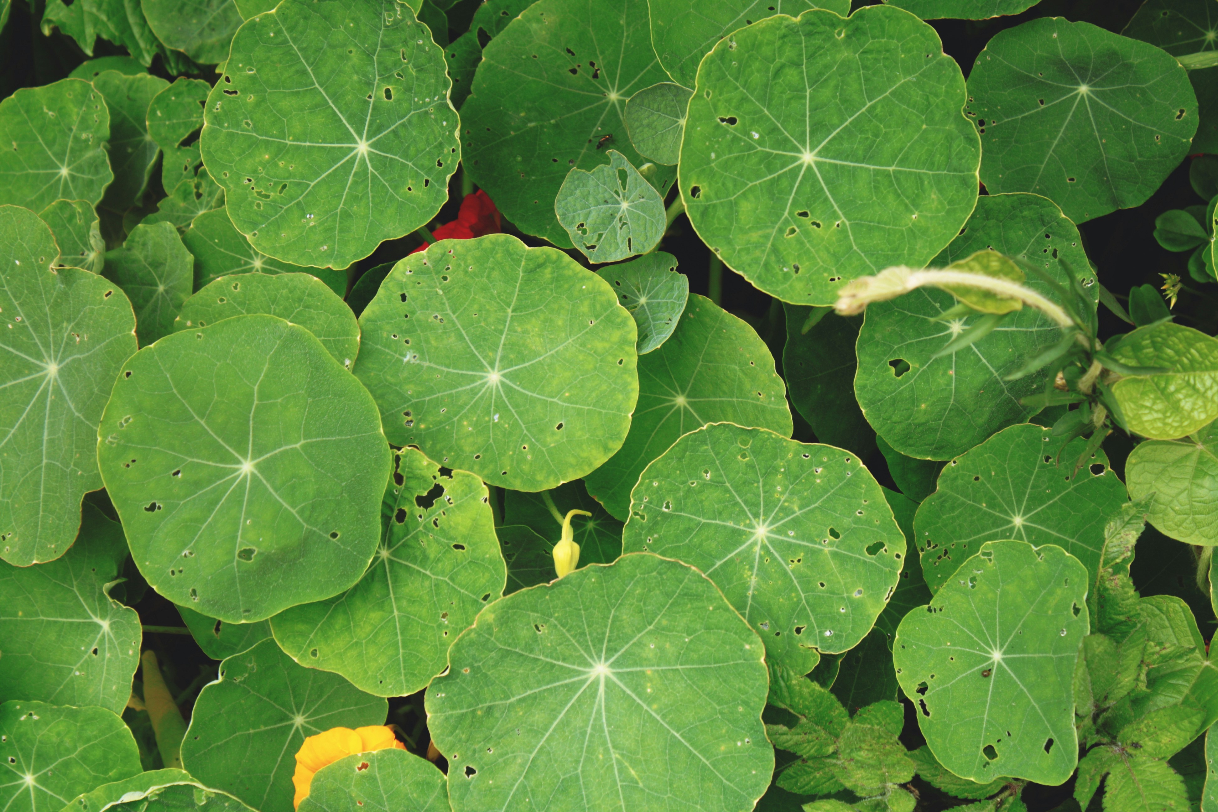 Free Unsplash photo from Daiana Tarica