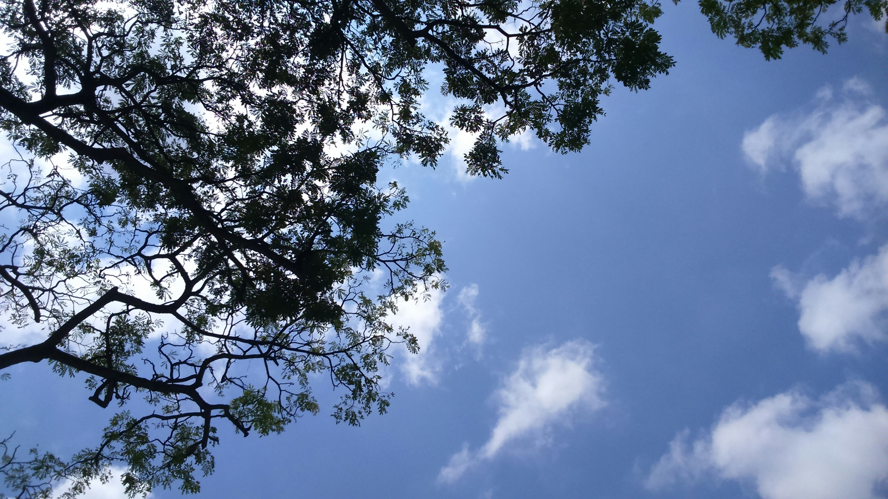 Free Unsplash photo from Bagus Pentium