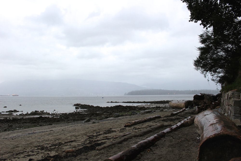 view of body of water during daytime