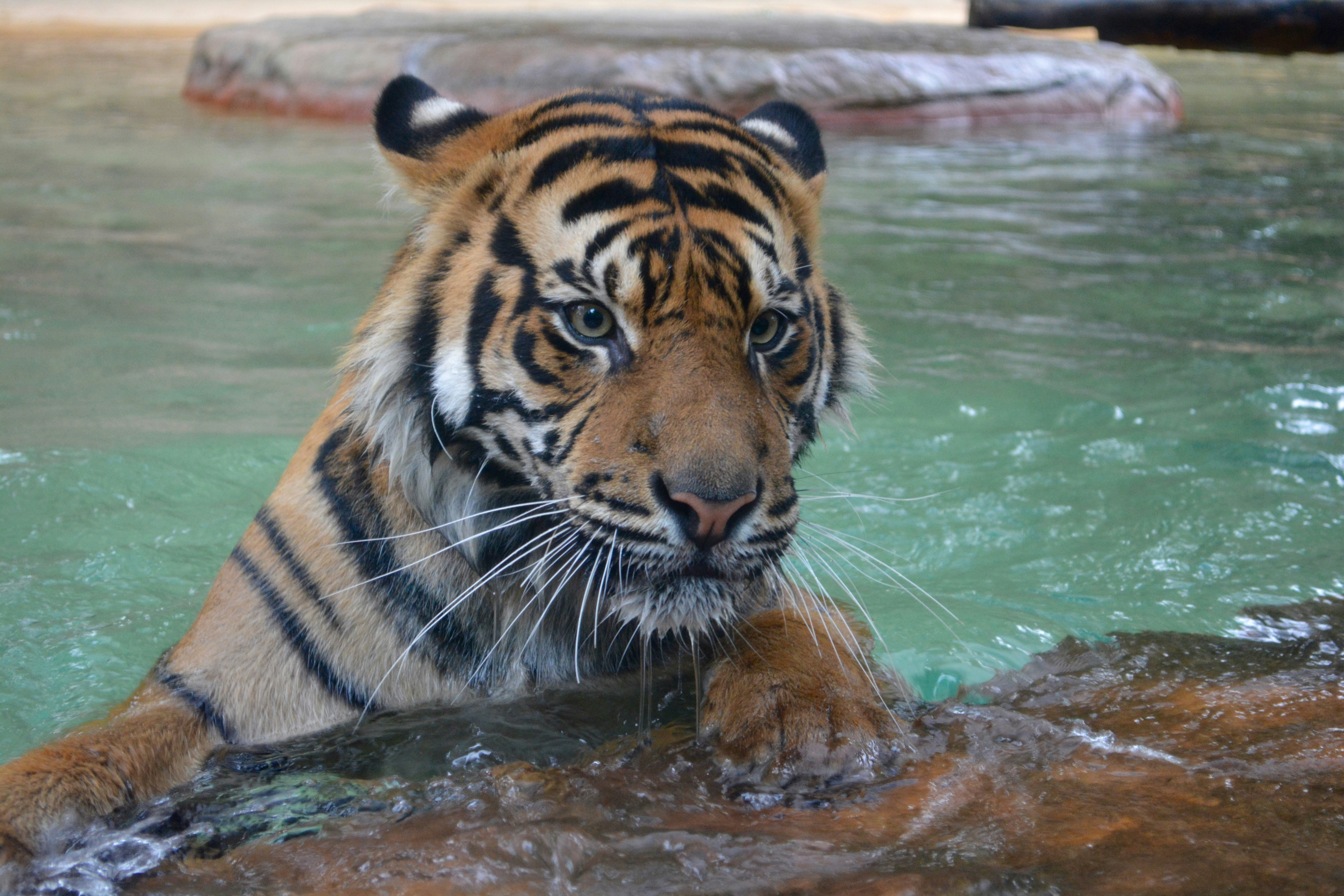 Photo By Jenna Beekhuis