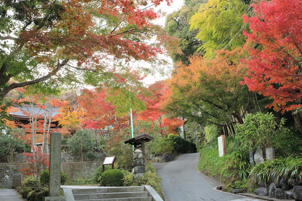 A beautiful garden walkway surrounded by green, pink and orange tree leaves.