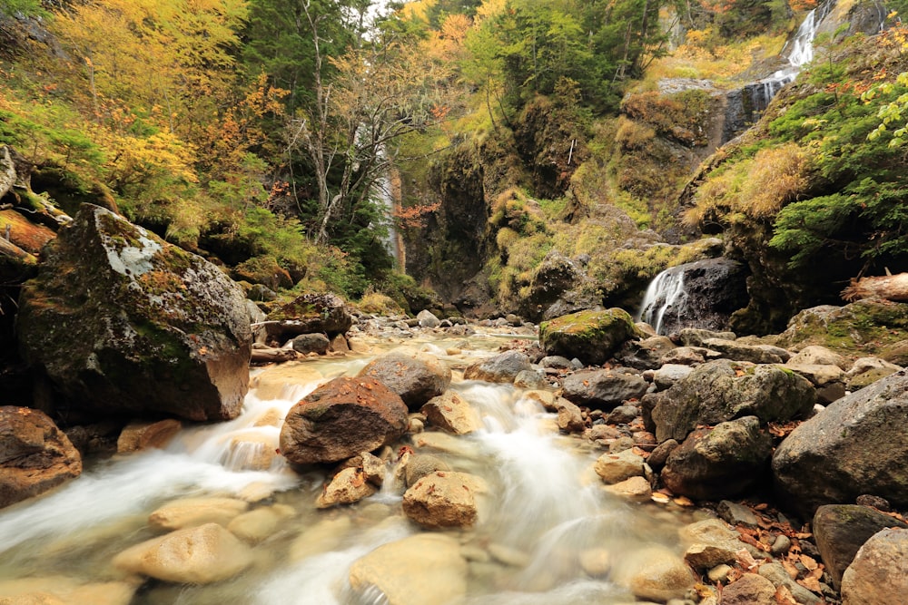 flowing stream near rocks surrounded with tall and green trees