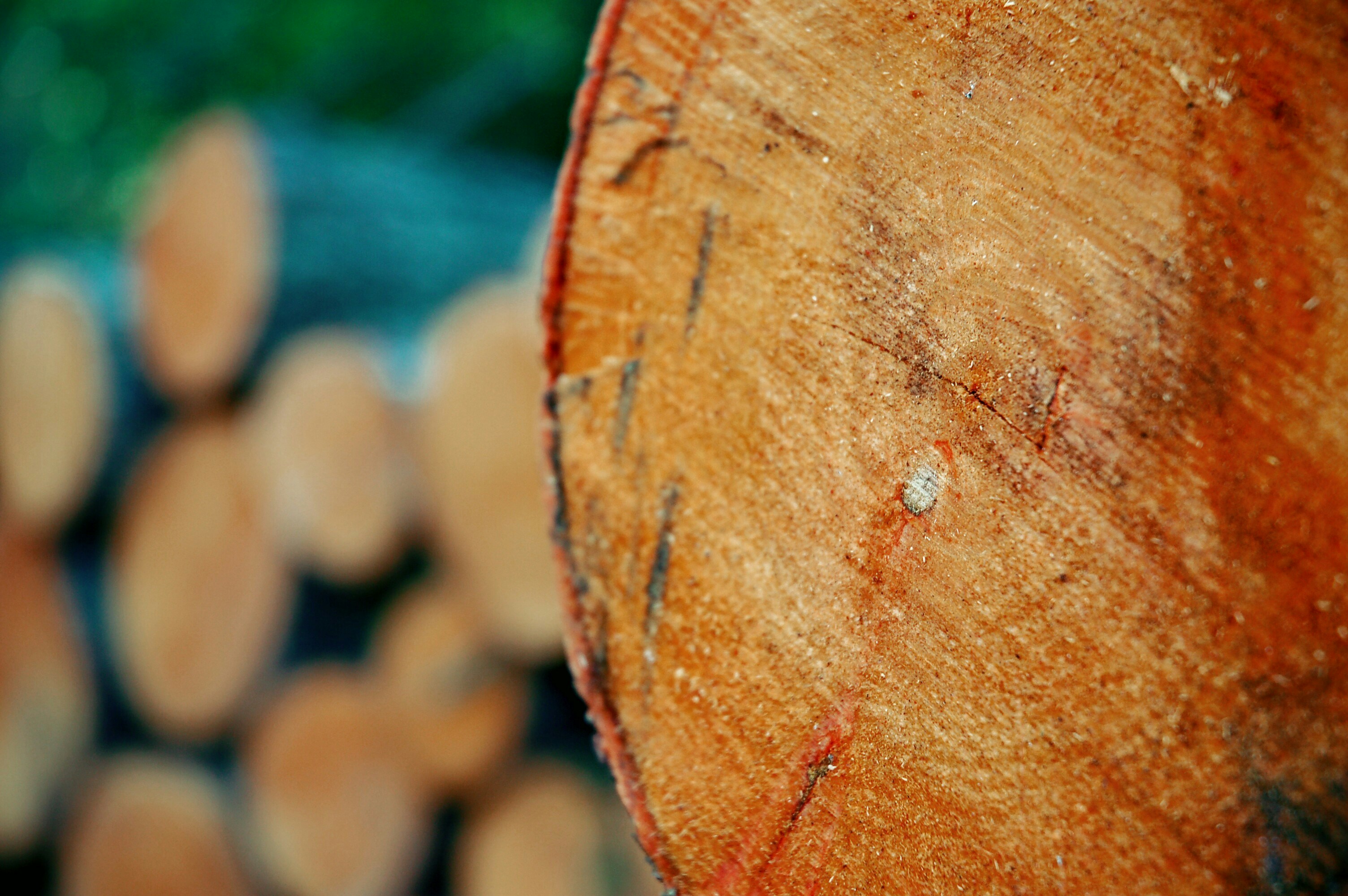 Free Unsplash photo from Marija Rahman