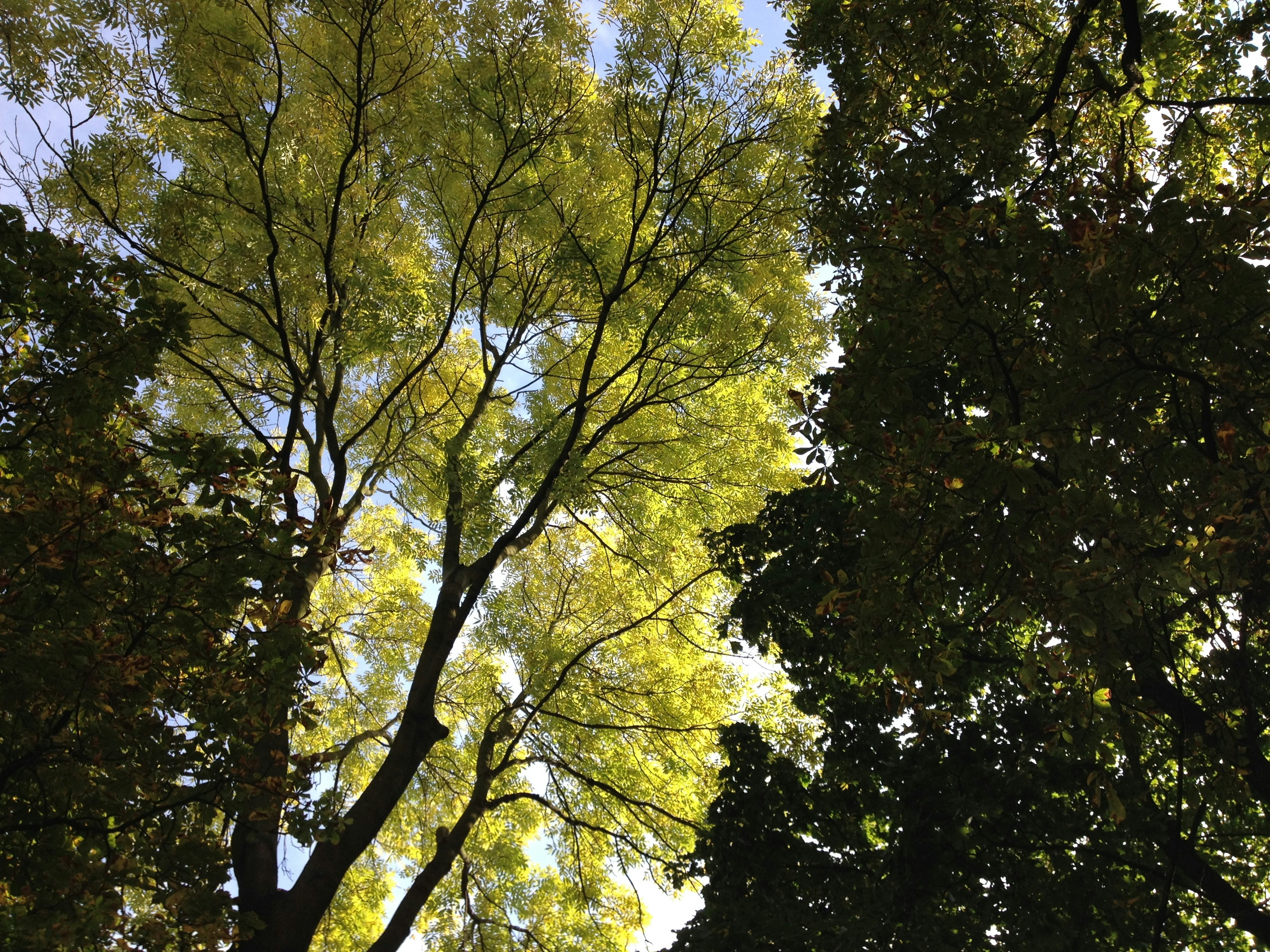 Free Unsplash photo from Rafal Bartoszczyk