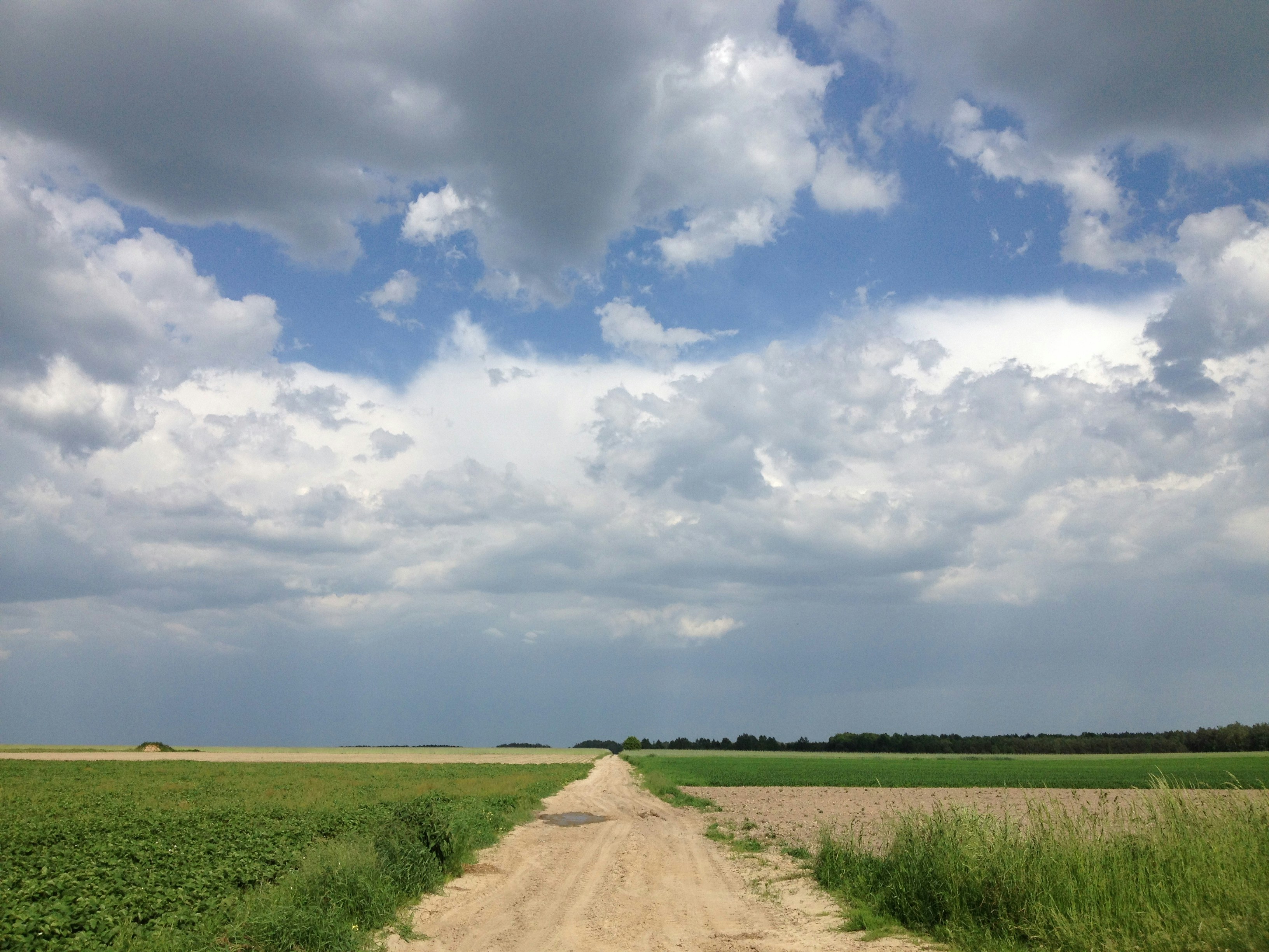 Free Unsplash photo from Rafal Bartoszczyk