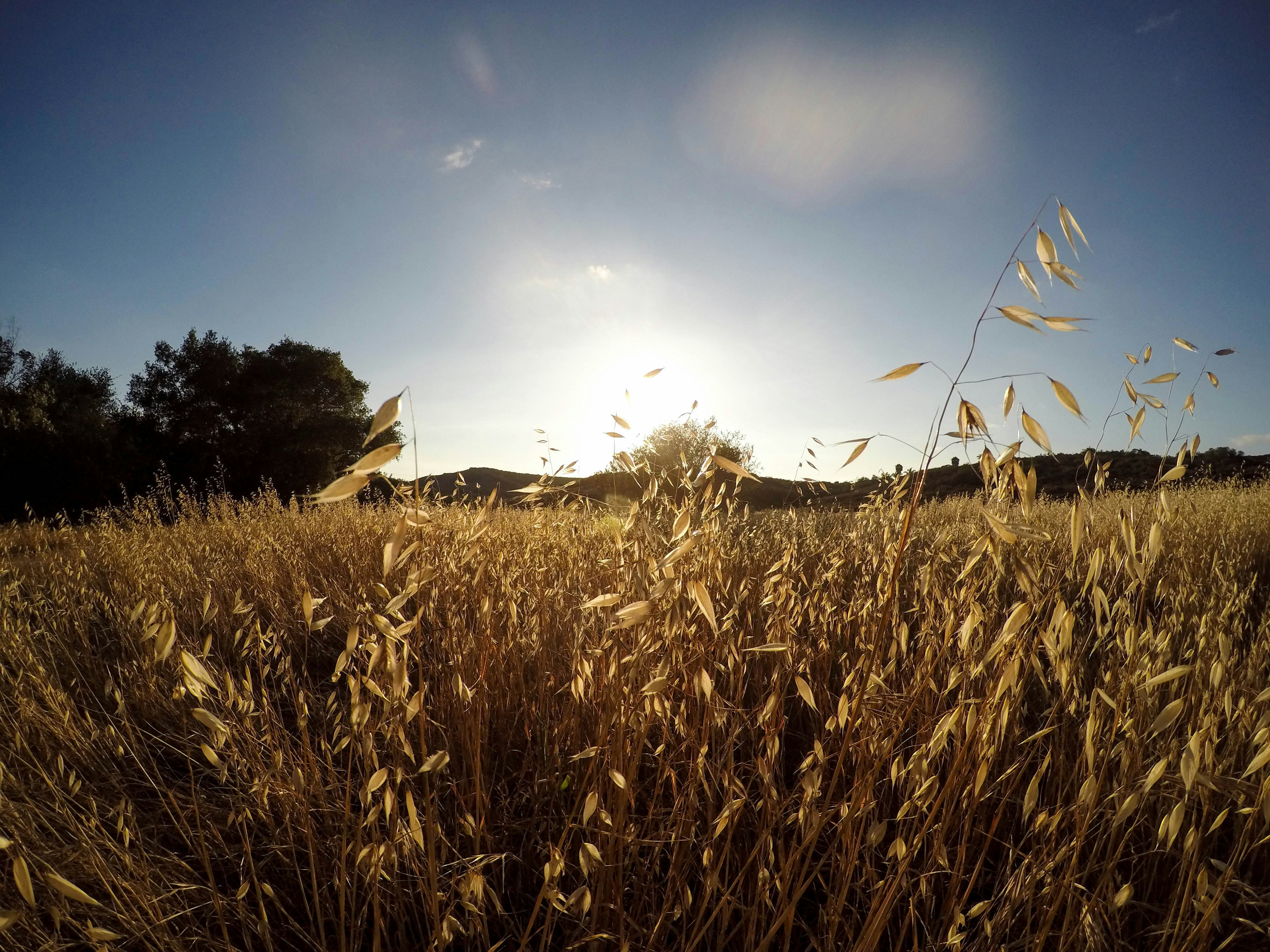 Free Unsplash photo from Jeremy Bishop