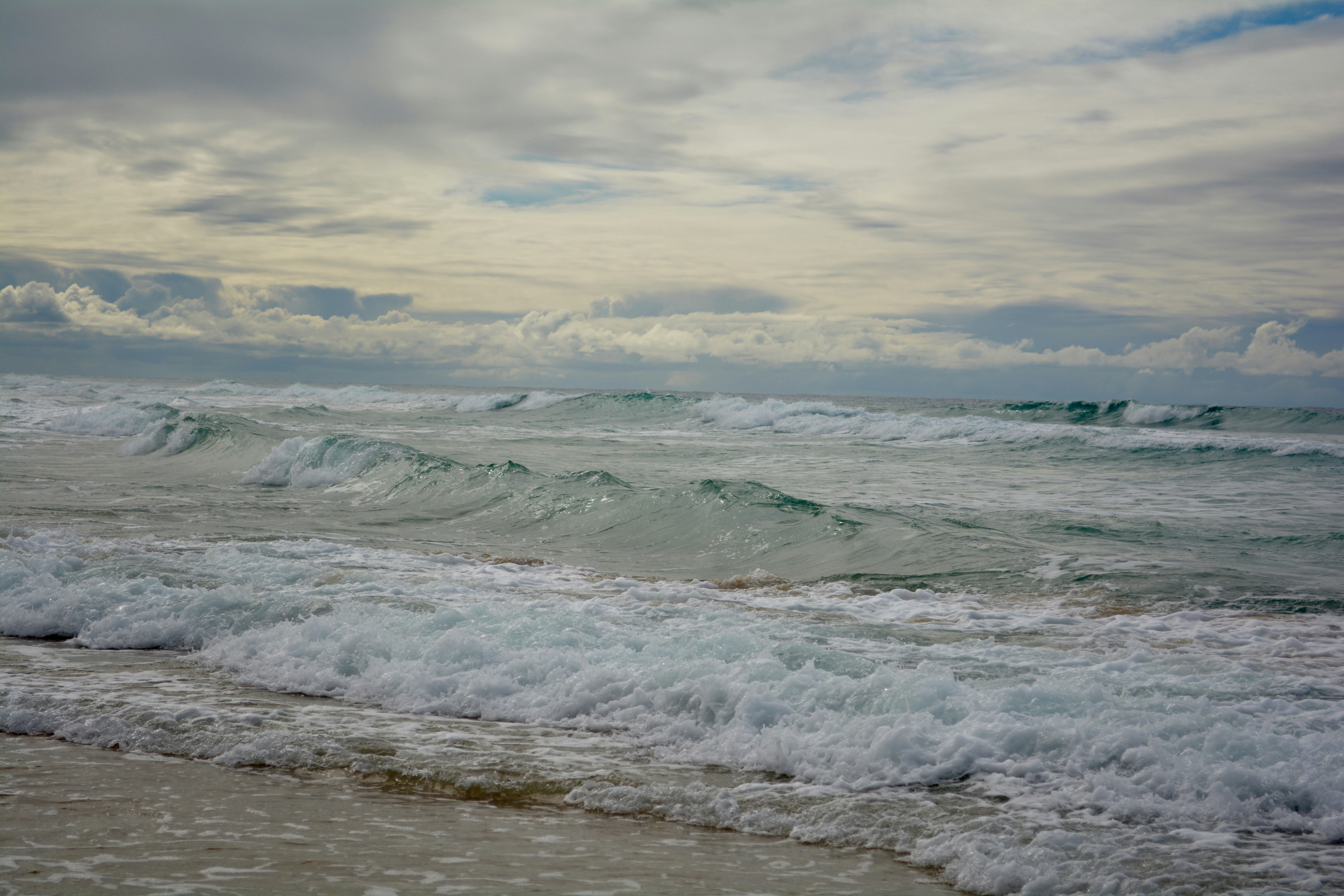 Photo By Jenna Beekhuis