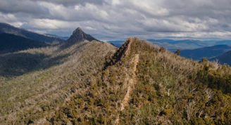A rugged mountain ridge at dawn, shrouded in mist with deep forest stretching below.