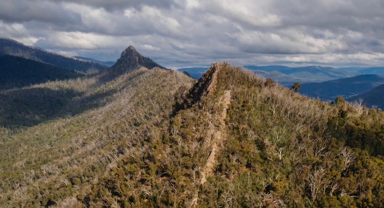 A rugged mountain ridge at dawn, shrouded in mist with deep forest stretching below.