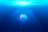 jelly fish in water