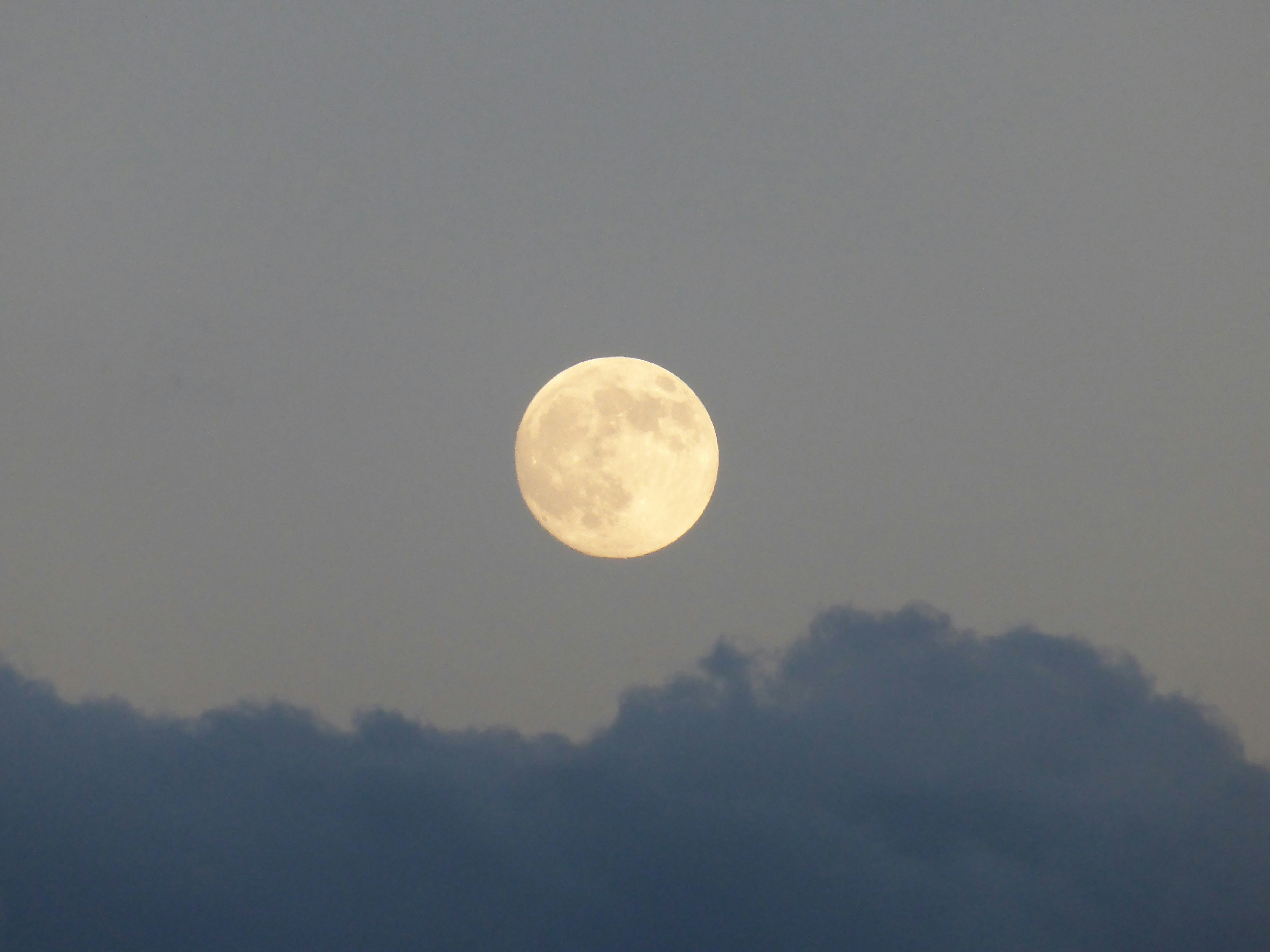 Free Unsplash photo from Florian Rod