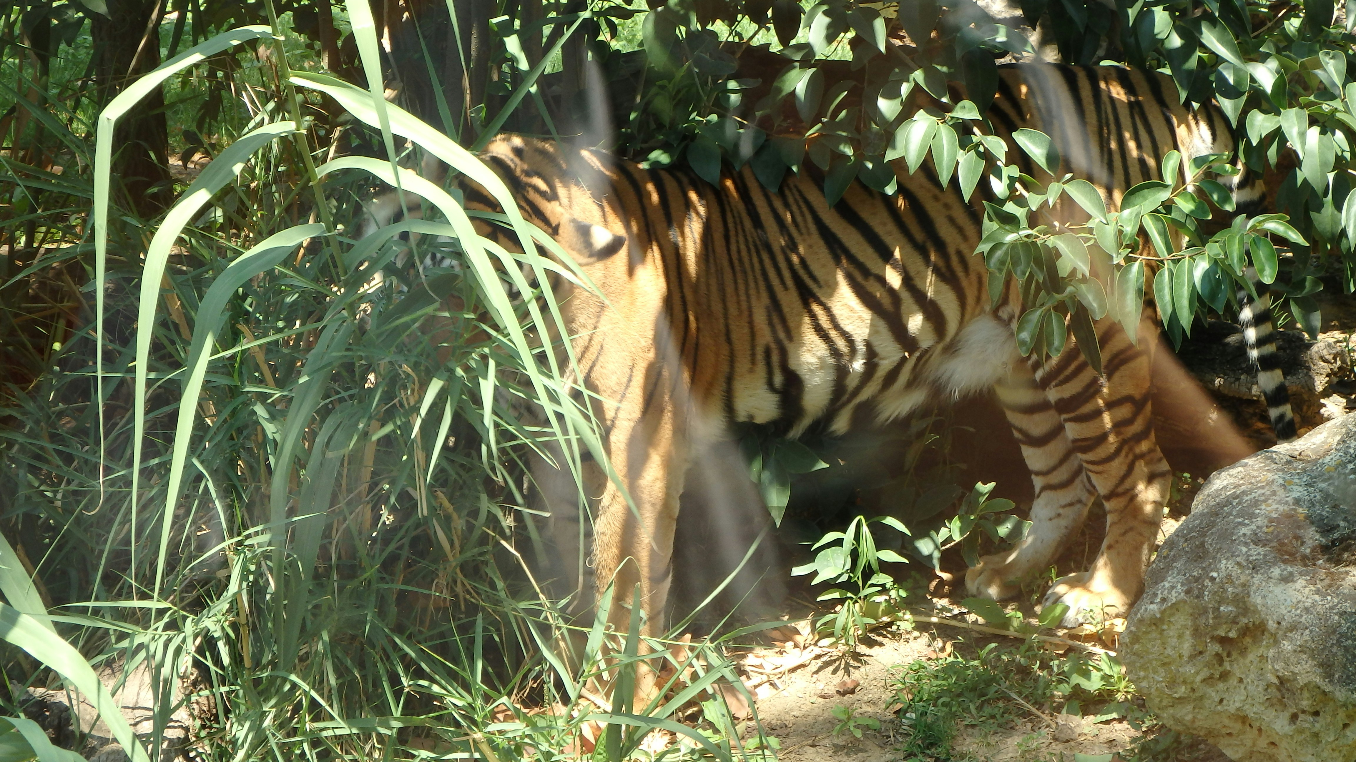 Free Unsplash photo from Manuela Rodrigues