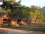 A line of rustic wooden huts with thatched roofs set in a lush, green environment. Tall trees with abundant foliage surround the huts, casting shadows on the ground. The scene appears serene and tranquil with the warm sunlight casting a golden hue over the area. The foreground shows grassy terrain interspersed with sandy patches.