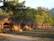 A line of rustic wooden huts with thatched roofs set in a lush, green environment. Tall trees with abundant foliage surround the huts, casting shadows on the ground. The scene appears serene and tranquil with the warm sunlight casting a golden hue over the area. The foreground shows grassy terrain interspersed with sandy patches.