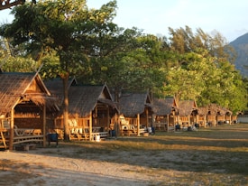 A line of rustic wooden huts with thatched roofs set in a lush, green environment. Tall trees with abundant foliage surround the huts, casting shadows on the ground. The scene appears serene and tranquil with the warm sunlight casting a golden hue over the area. The foreground shows grassy terrain interspersed with sandy patches.