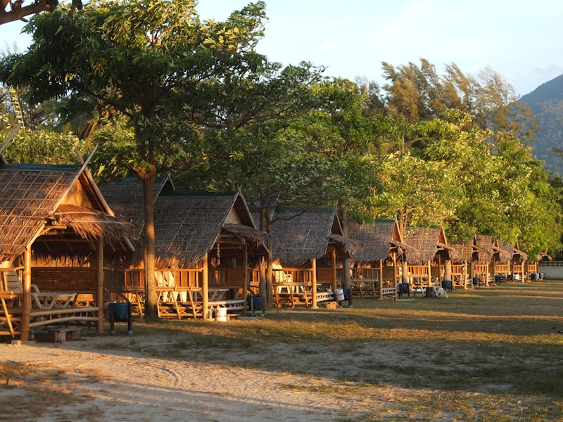 A line of rustic wooden huts with thatched roofs set in a lush, green environment. Tall trees with abundant foliage surround the huts, casting shadows on the ground. The scene appears serene and tranquil with the warm sunlight casting a golden hue over the area. The foreground shows grassy terrain interspersed with sandy patches.