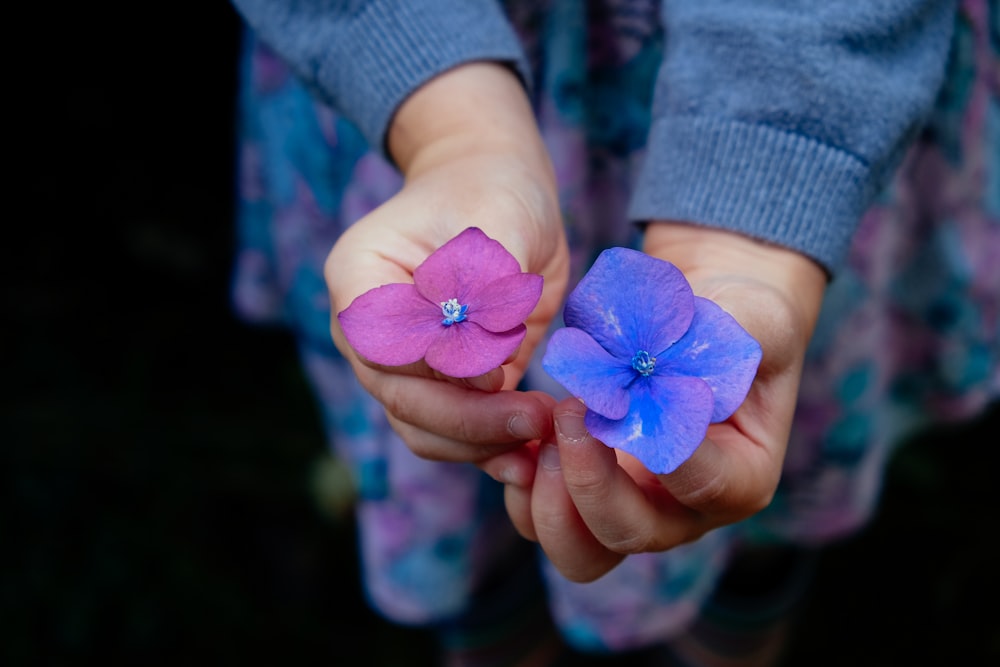 personne tenant des fleurs