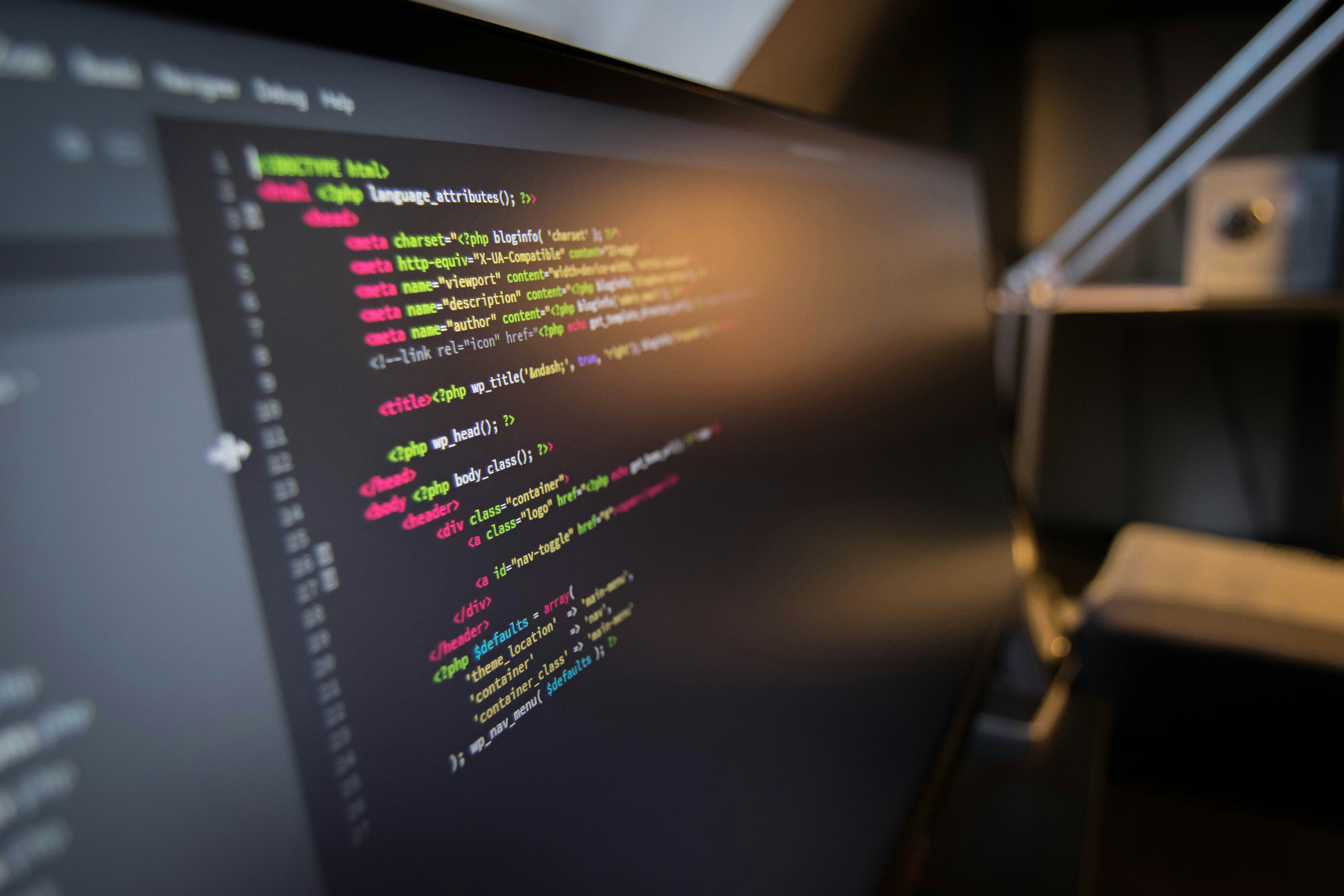 Free Unsplash photo from Berry van der Velden