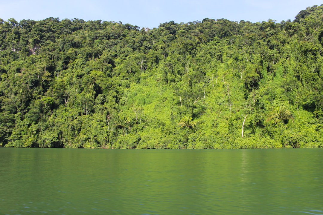 travelers stories about Watercourse in Río Dulce, Guatemala