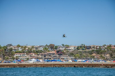 A vibrant coastal scene with a beach lined with colorful umbrellas and a crowd of people enjoying the sun. The background features a row of impressive beachfront houses with palm trees scattered throughout. A bird is captured mid-flight in the clear blue sky above the ocean water, which adds a dynamic element to the serene landscape.