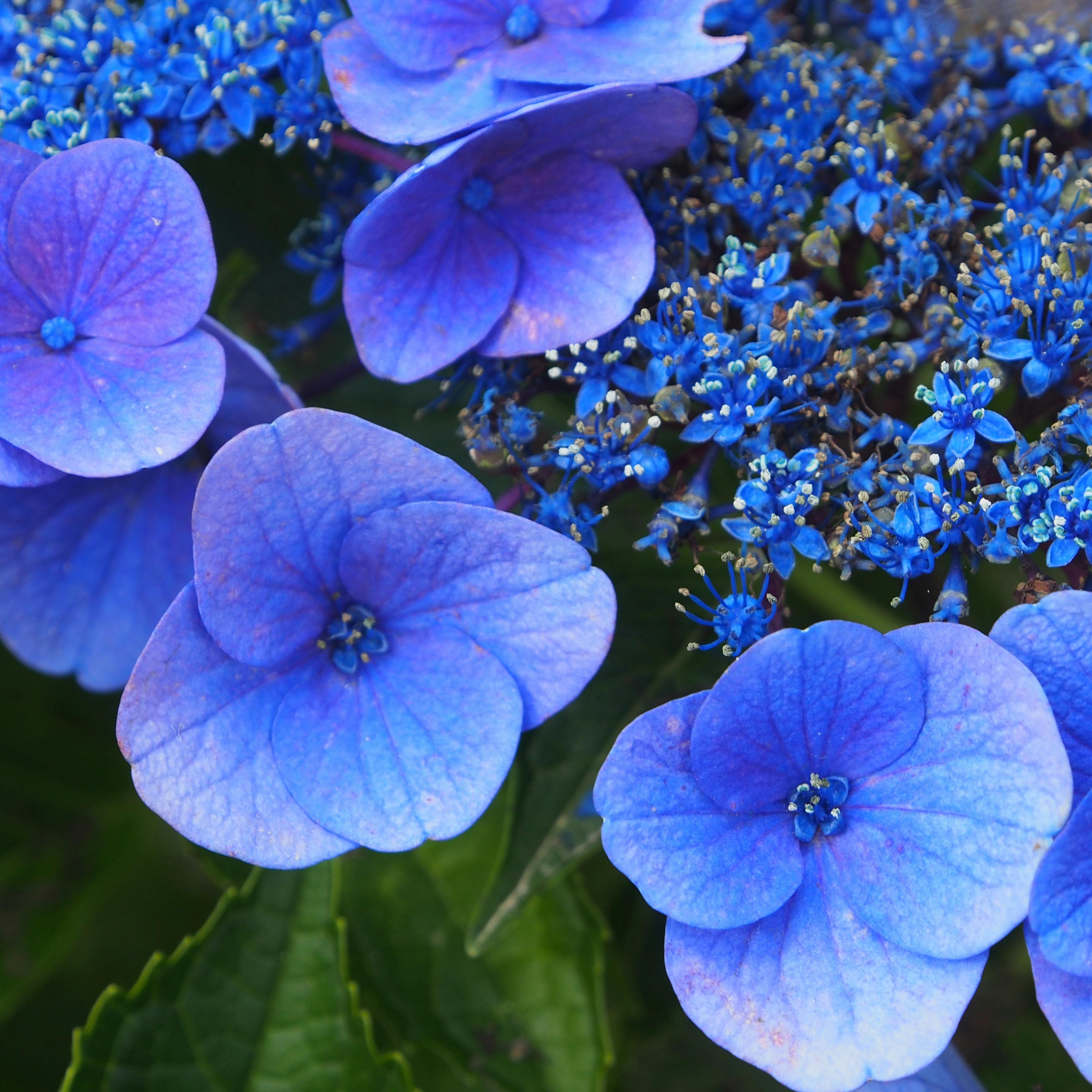 Free Unsplash photo from Keiko  Kuroda