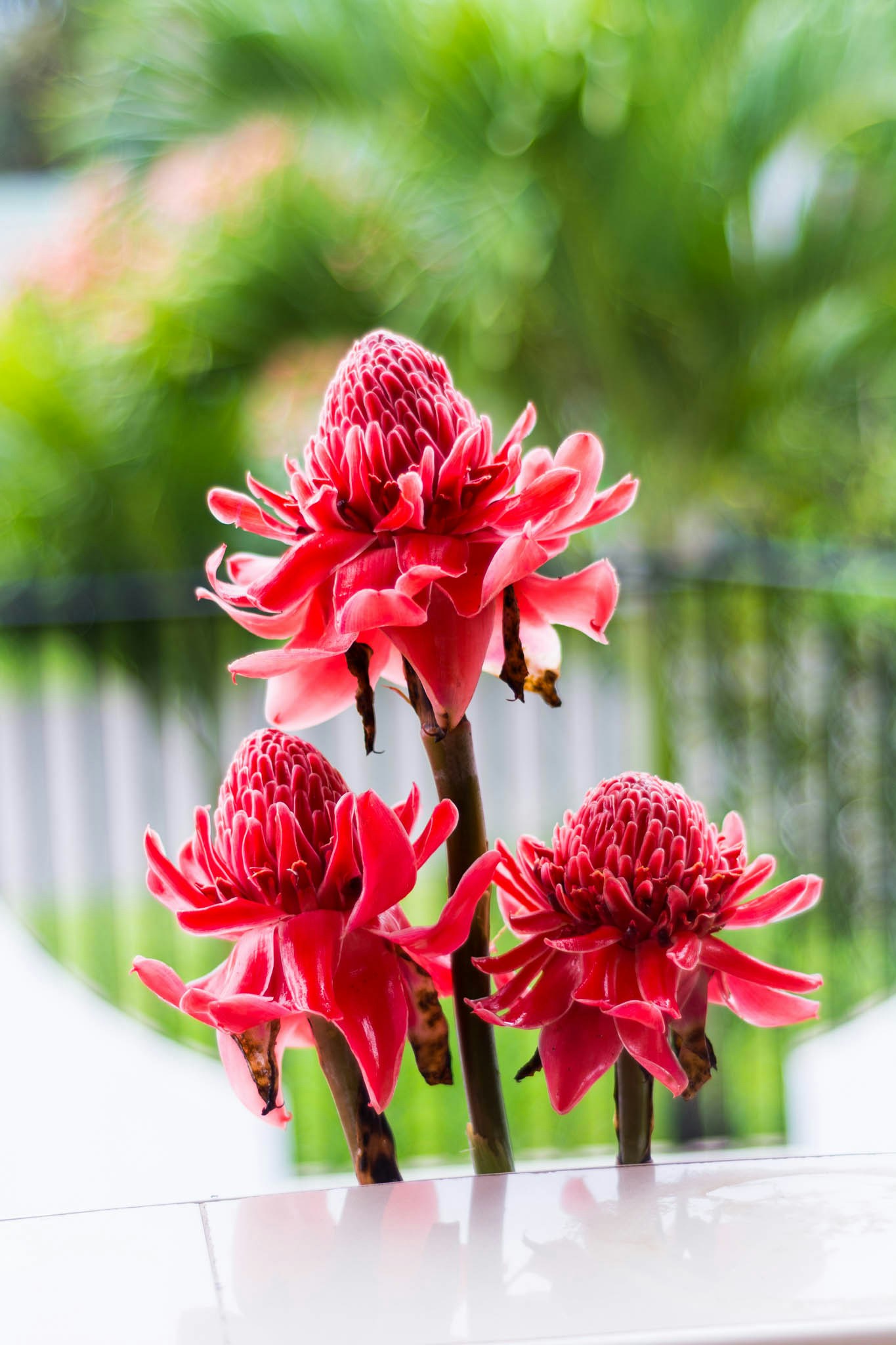 Free Unsplash photo from Roman Polidario