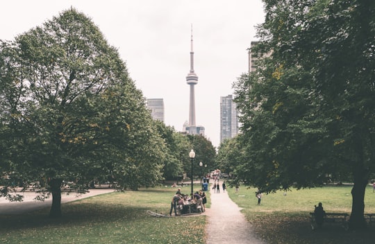 green-leafed trees in Grange Park Canada