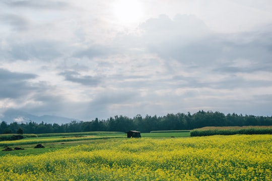 photo of Kranj Natural landscape near Radovna