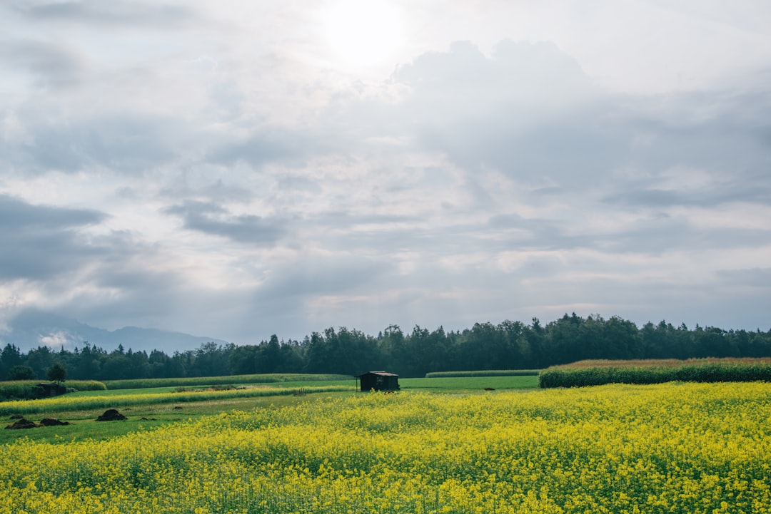 Natural landscape photo spot Kranj Ribnica